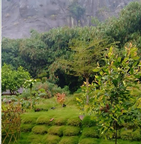 Kawasan Hijau Gunung Parang