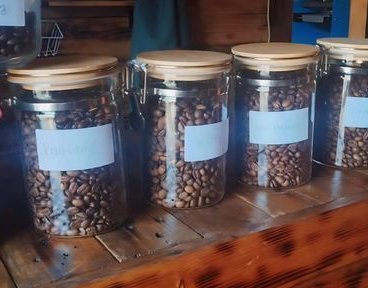 Tanam 1.000 Pohon di Lereng Gunung Halu